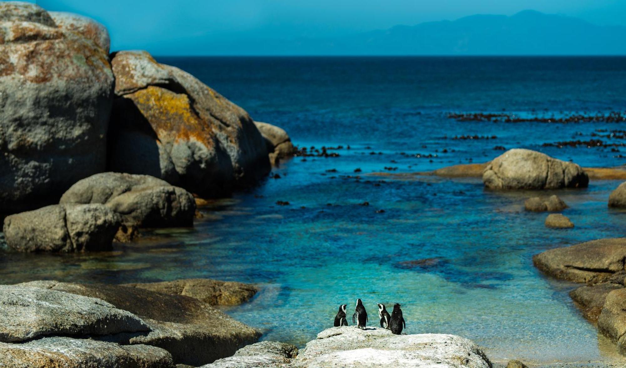 Eclectic Heritage Paradise Simonʼs Town Eksteriør bilde